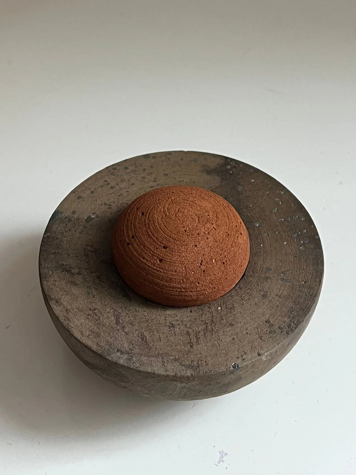 Basium — The Stone Diffuser – BACTERIA BOOKS