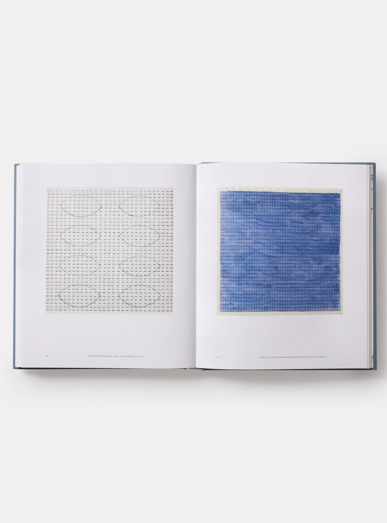 Agnes Martin: Painting, Writings, Remembrances