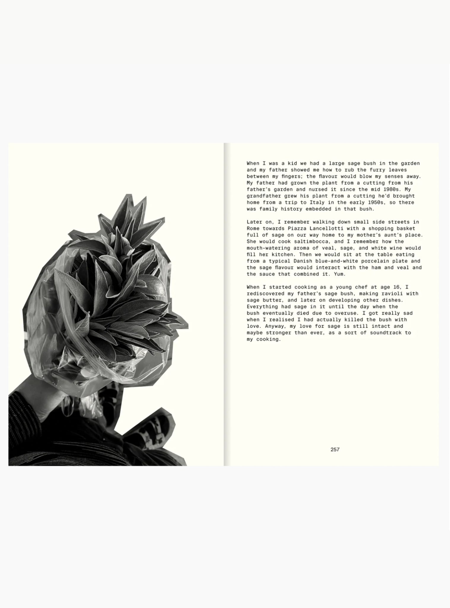 All the Stuff We Cooked: 49 recipes