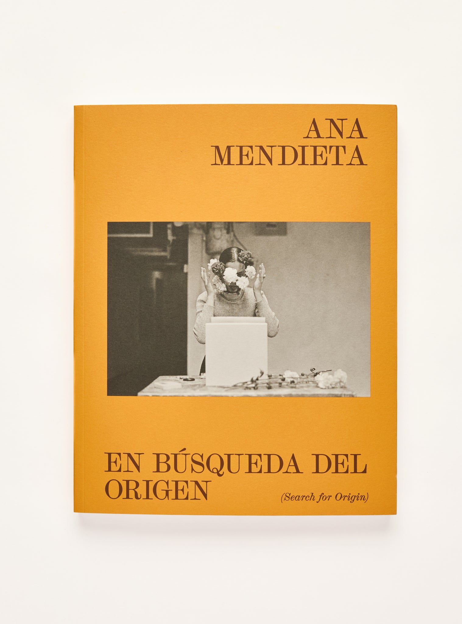 Ana Mendieta — En Búsqueda Del Origen (Search for Origin)