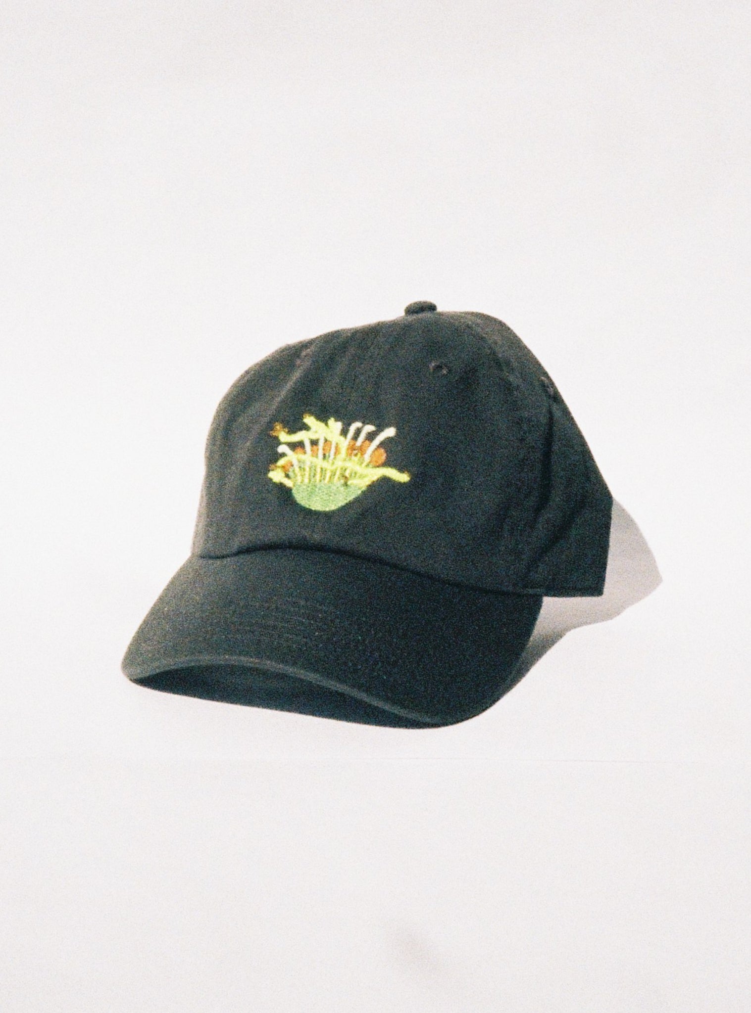 BIOVERSE HAT — A newly imagined flower