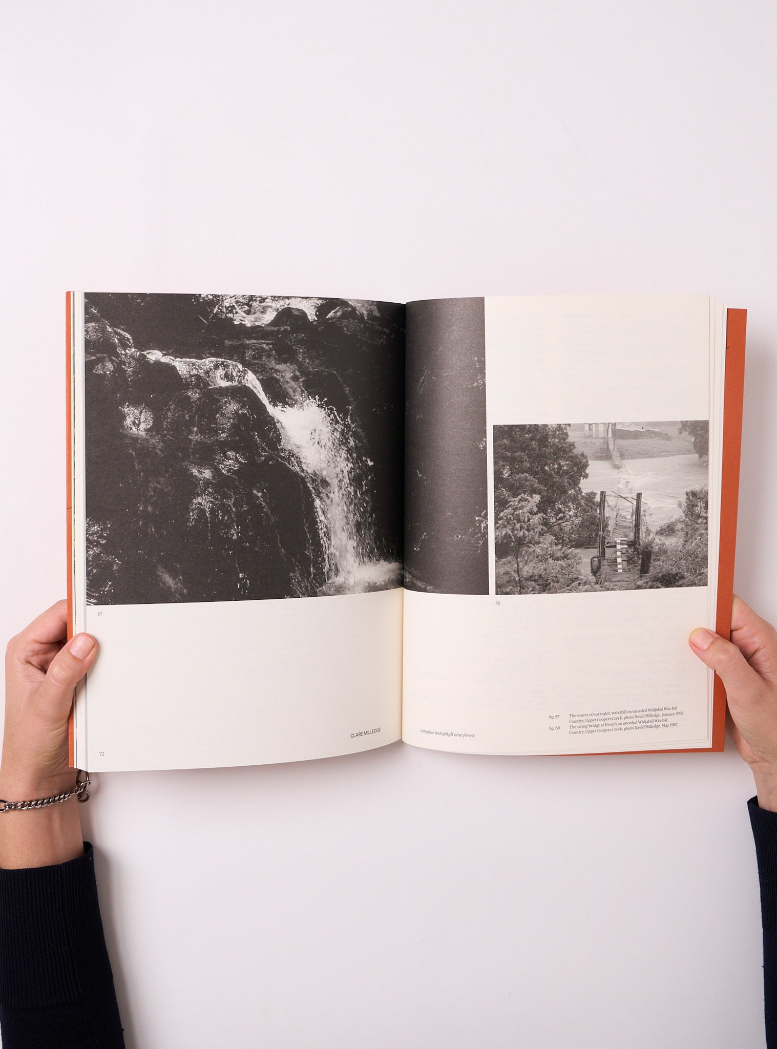 close reader: complex notophyll vine forest — Clare Milledge – BACTERIA ...