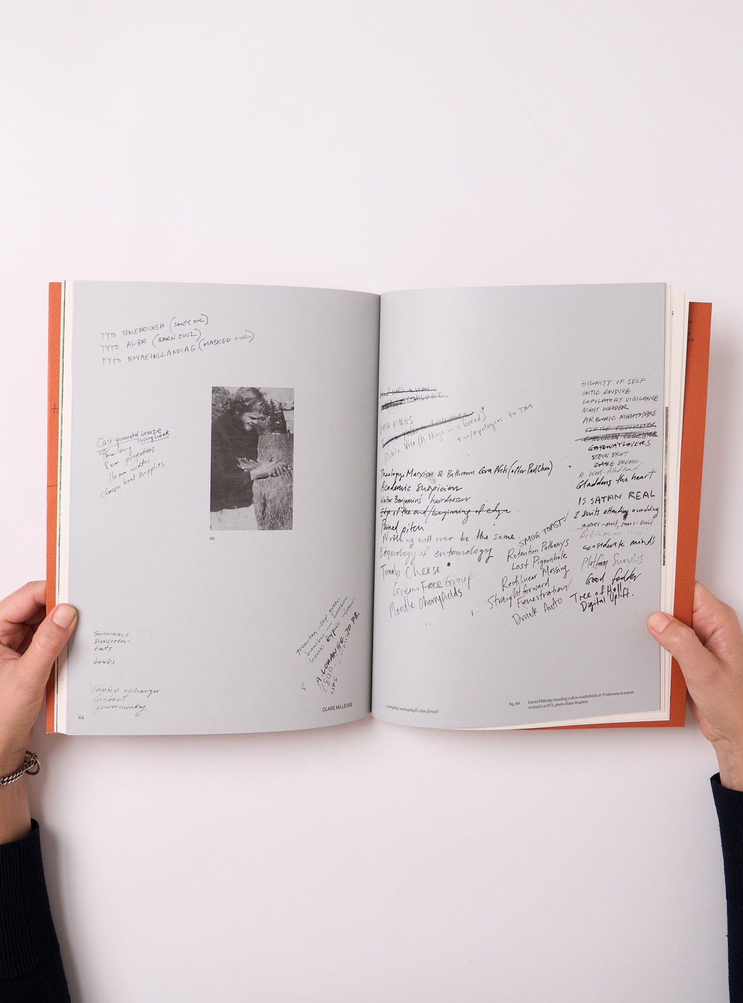 close reader: complex notophyll vine forest — Clare Milledge – BACTERIA ...