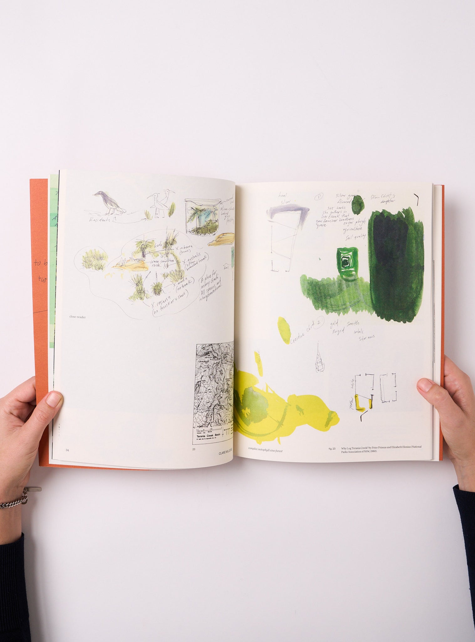 close reader: complex notophyll vine forest — Clare Milledge – BACTERIA ...