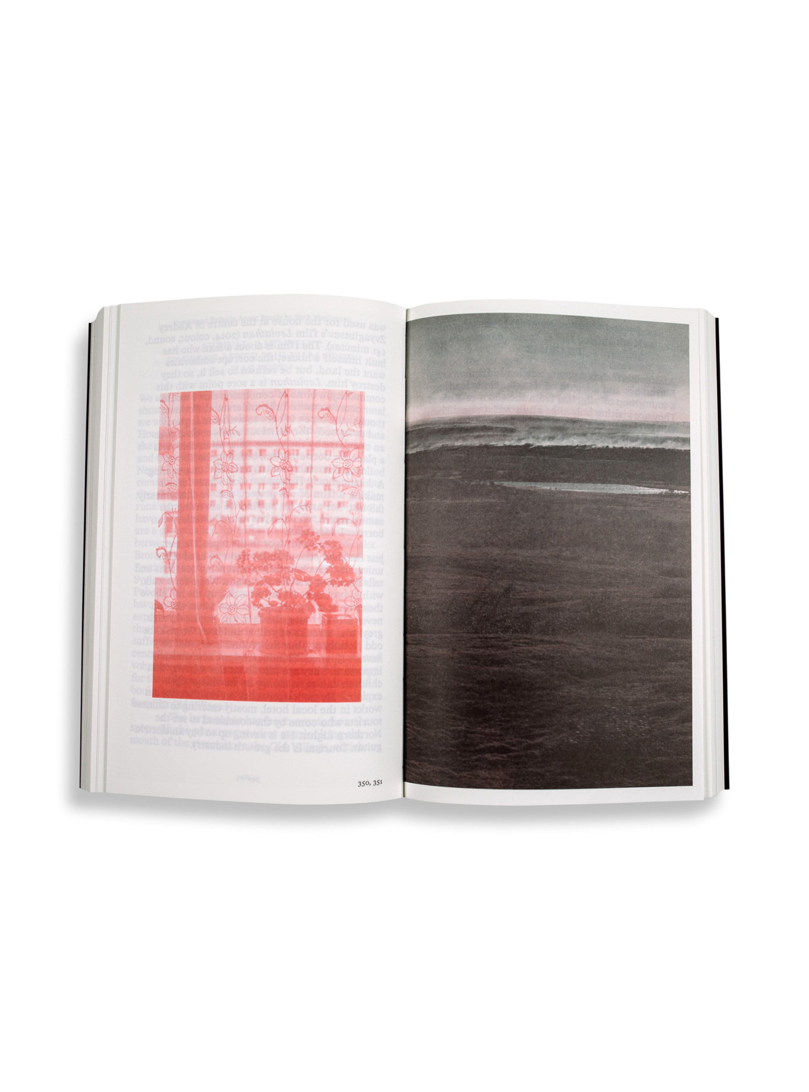 洋書 morpho-ecologies Fieldwork for Future Ecologies: Radical practice for art and