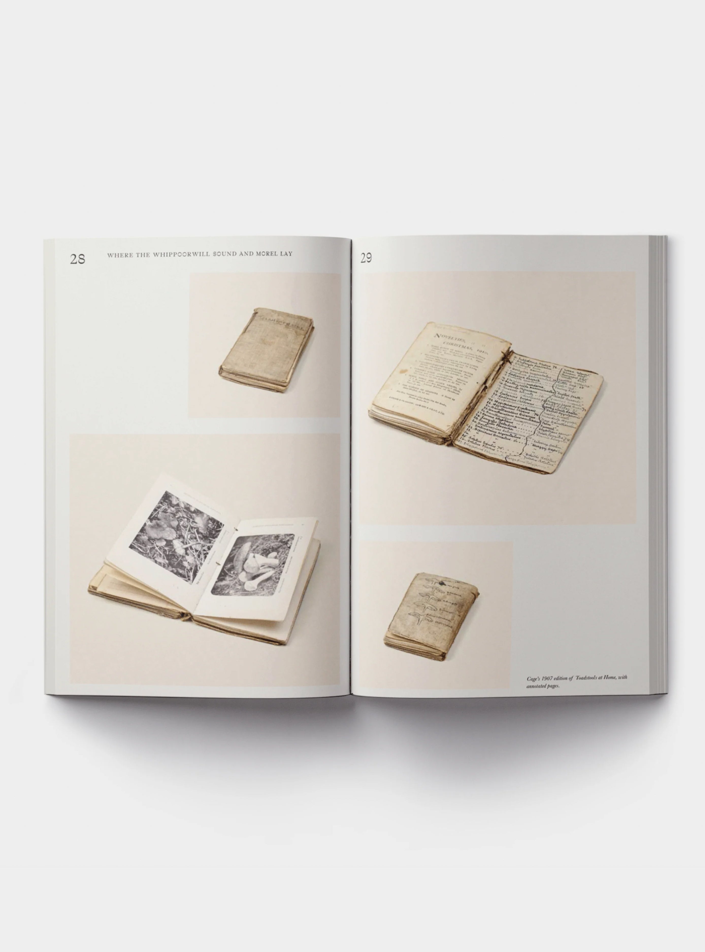 John Cage: A Mycological Foray – BACTERIA BOOKS