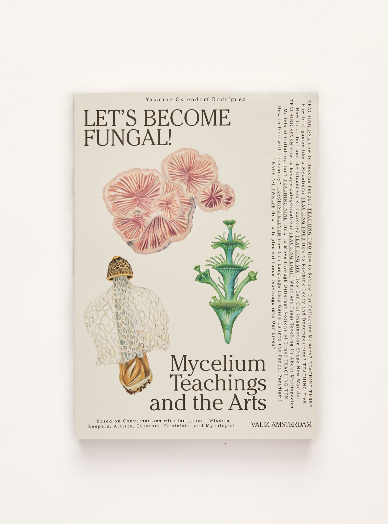 Let’s Become Fungal! Mycelium Teachings and the Arts