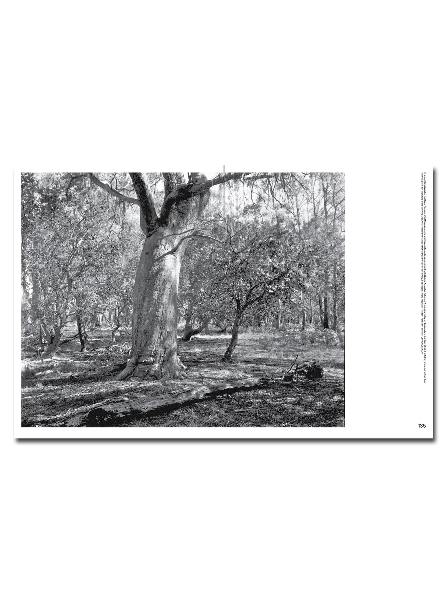 On Country: Photography from Australia