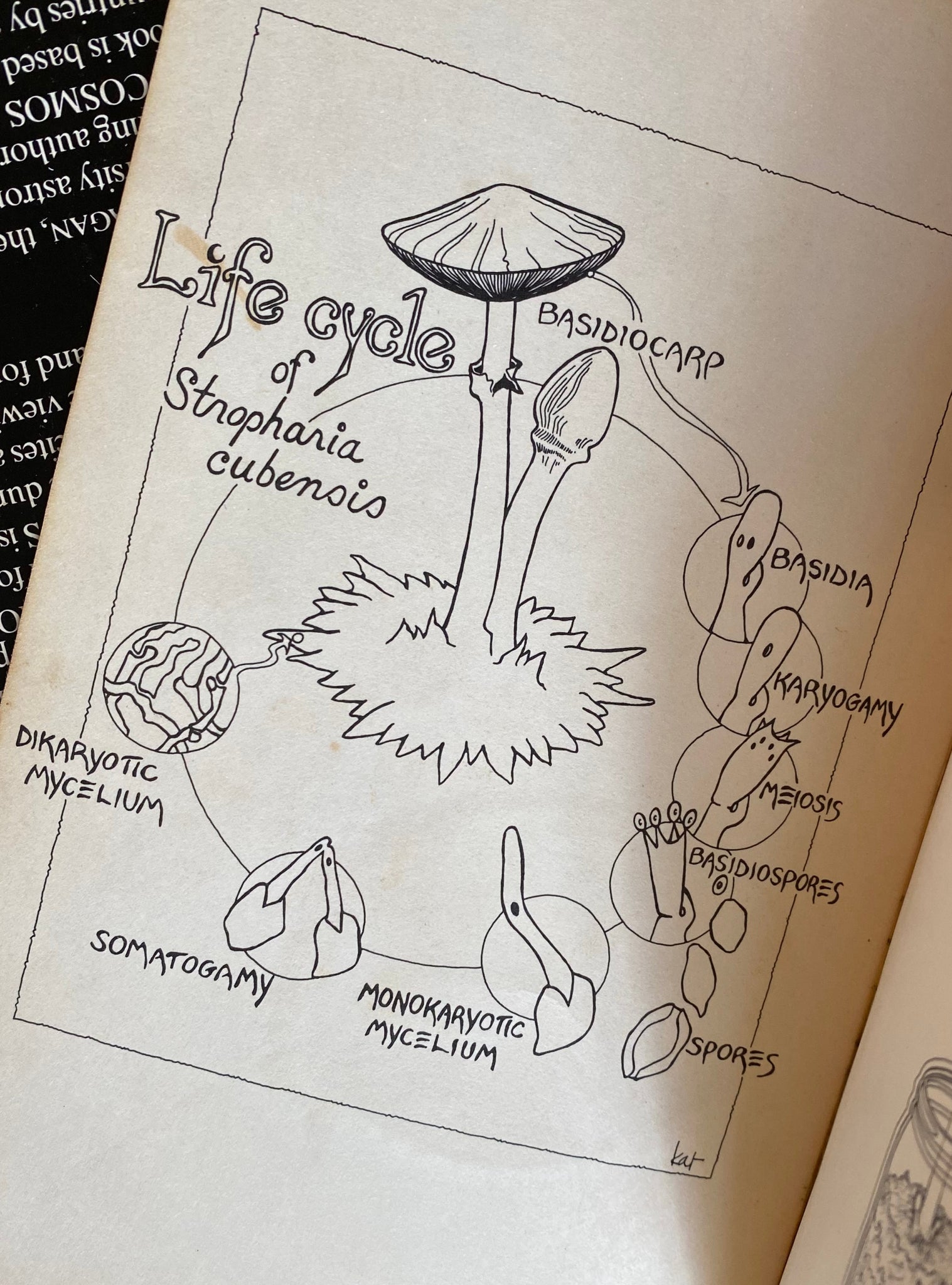 Psilocybin: Magic Mushroom Grower's Guide By O.T. Oss & O.N. Oeric
