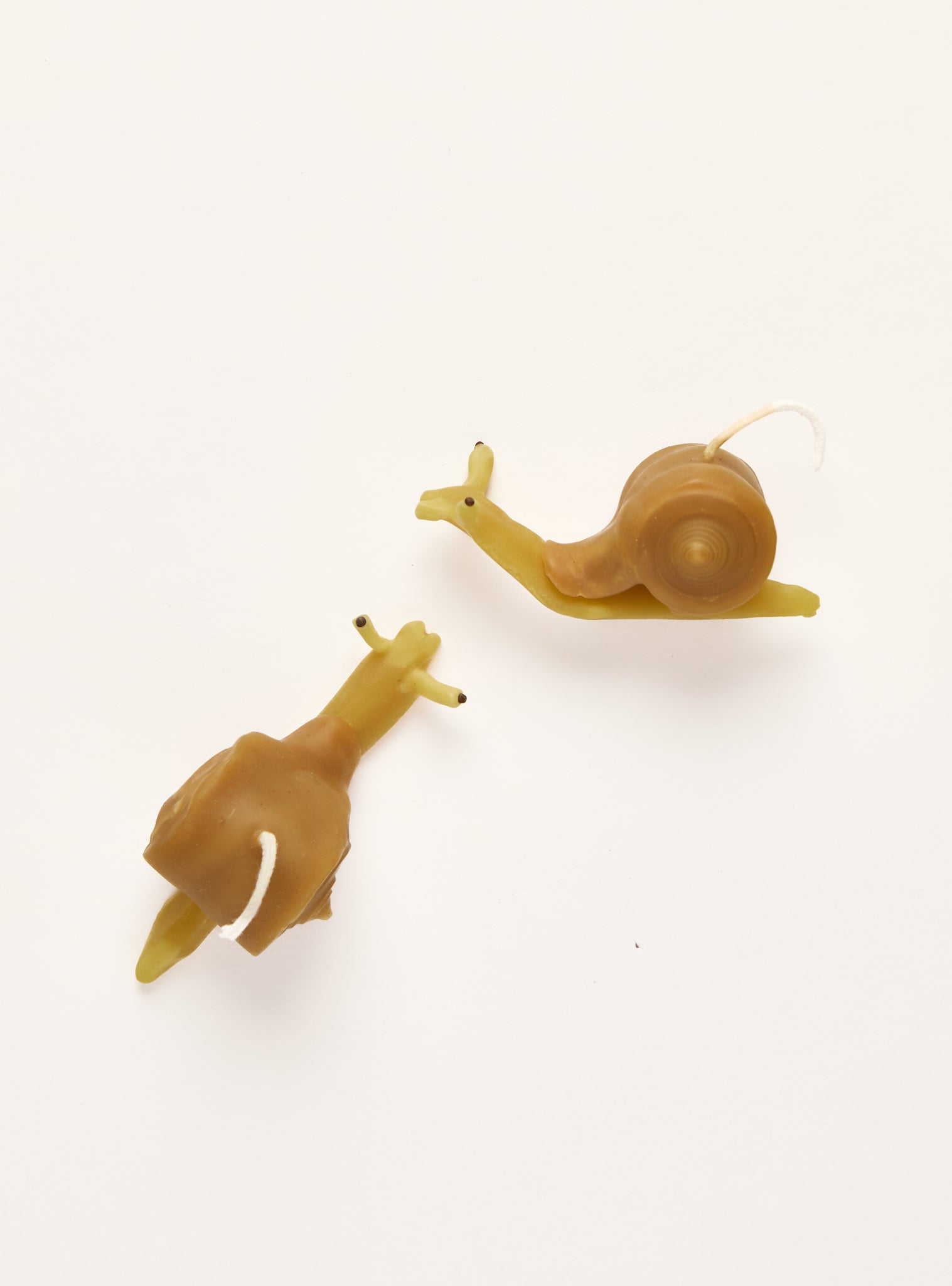 Reception — Snail Mates Candle Pair