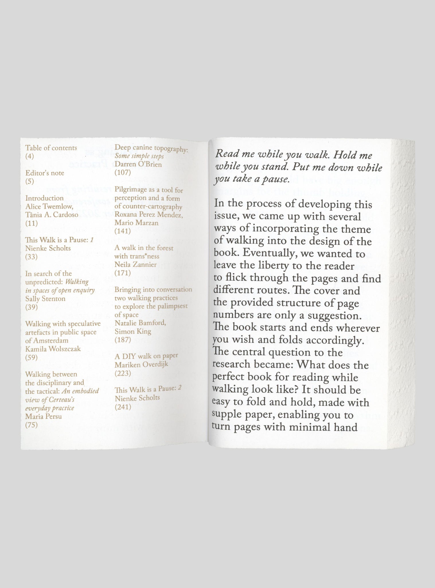 Walking as Research Practice