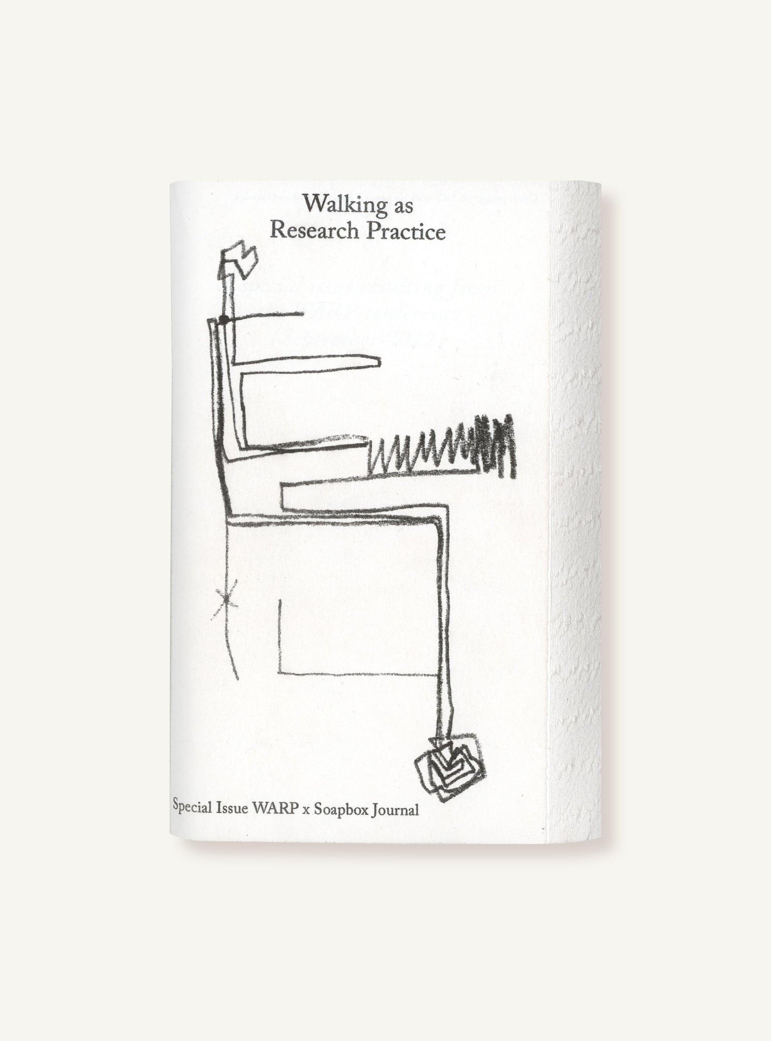 Walking as Research Practice