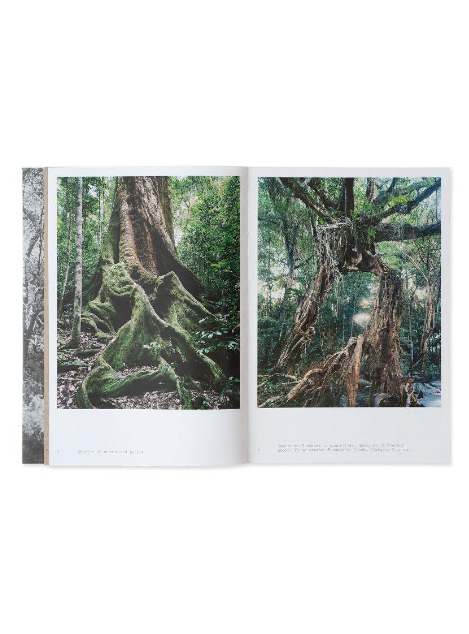 Wilderness Journal: Stories of Nature and people Vol 2
