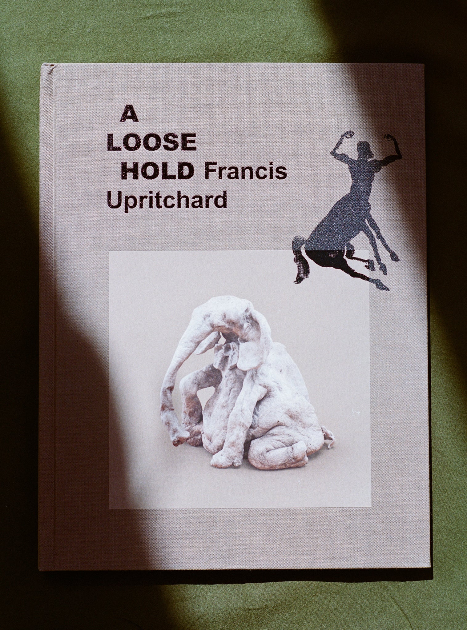 A Loose Hold by Francis Upritchard
